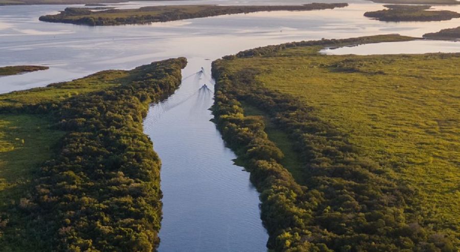 0311_ Parque Natural Islas y Canales Verdes del Río Uruguay