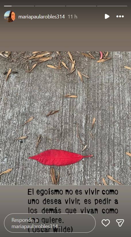 Las letales frases de Paula Robles tras la denuncia de su hija, Juanita Tinelli, y Marcelo Tinelli