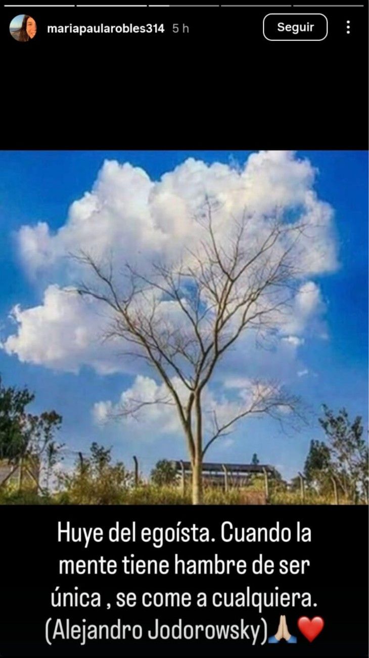 Los posteos de Paula Robles