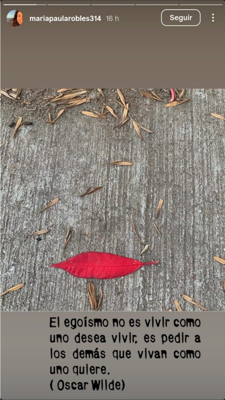 Los posteos de Paula Robles