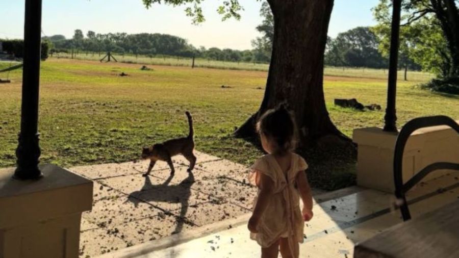 Melody Luz y Alex Caniggia