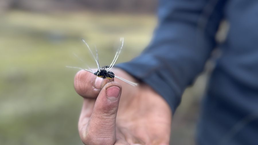 thiago_zalazar_pesca_con_mosca_flycast