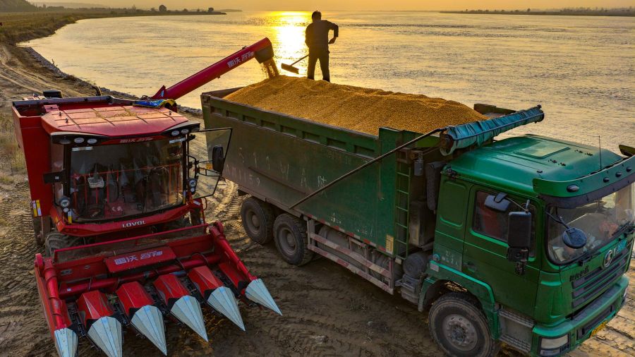 Fotogaleria Vista aérea tomada con un dron de maíz cosechado cargado en un camión, en la ciudad de Sanmenxia, en la provincia de Henan, en el centro de China.