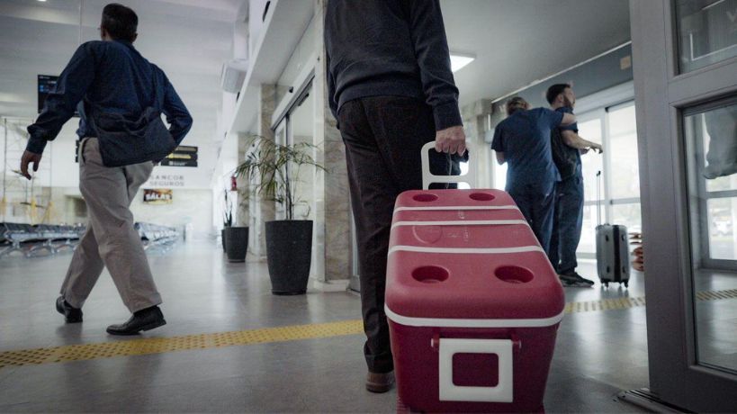 Transplante Córdoba 