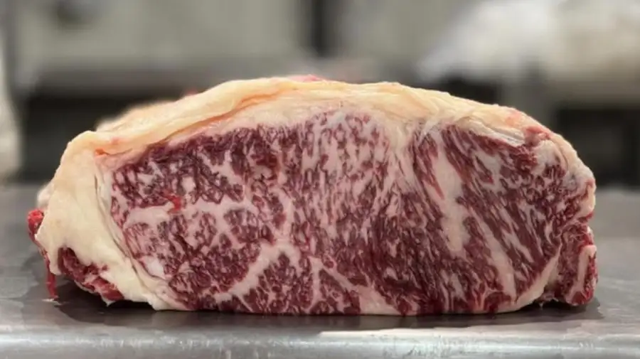 Dua Lipa en Argentina