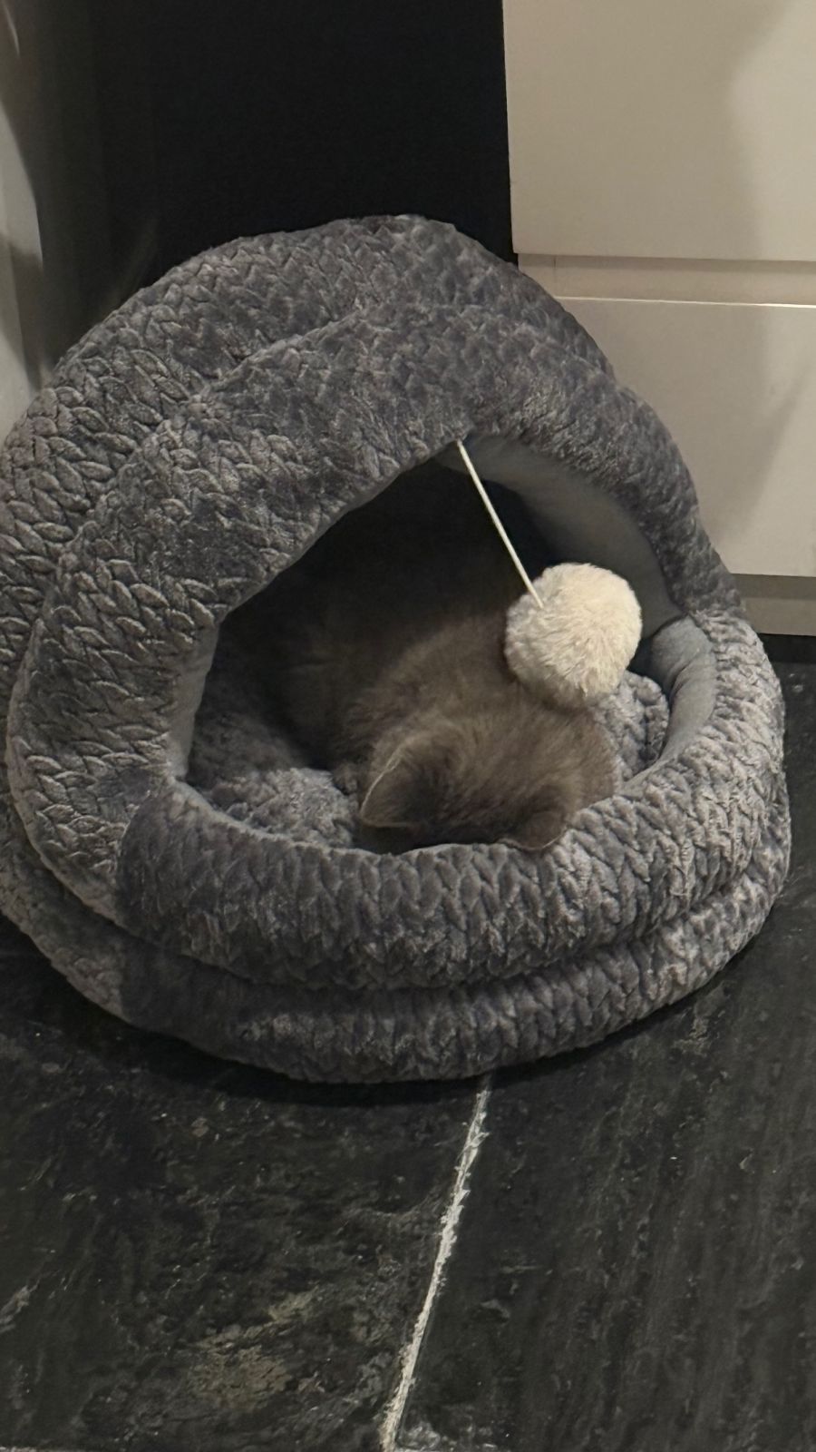 La casa de Clara Darín