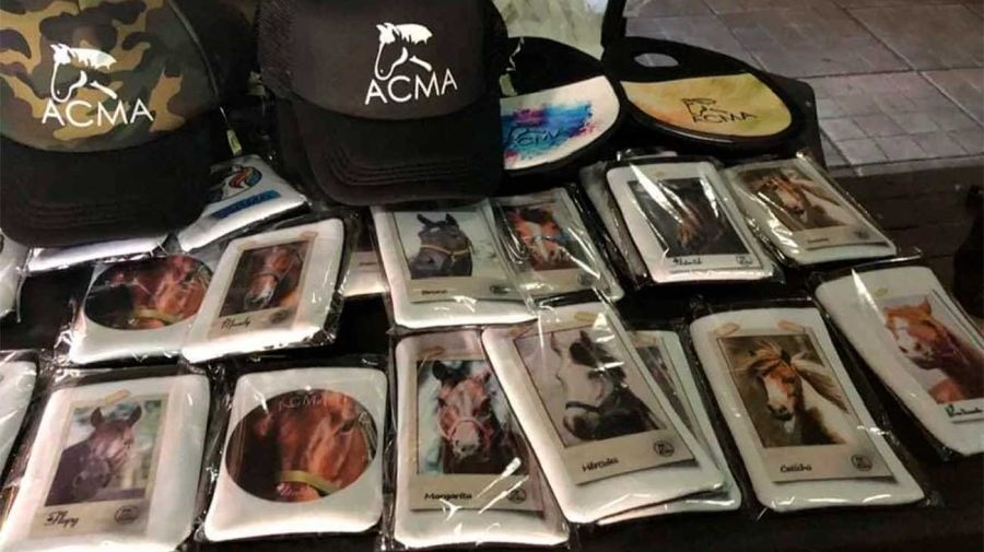 ACMA Asociación contra el maltrato animal