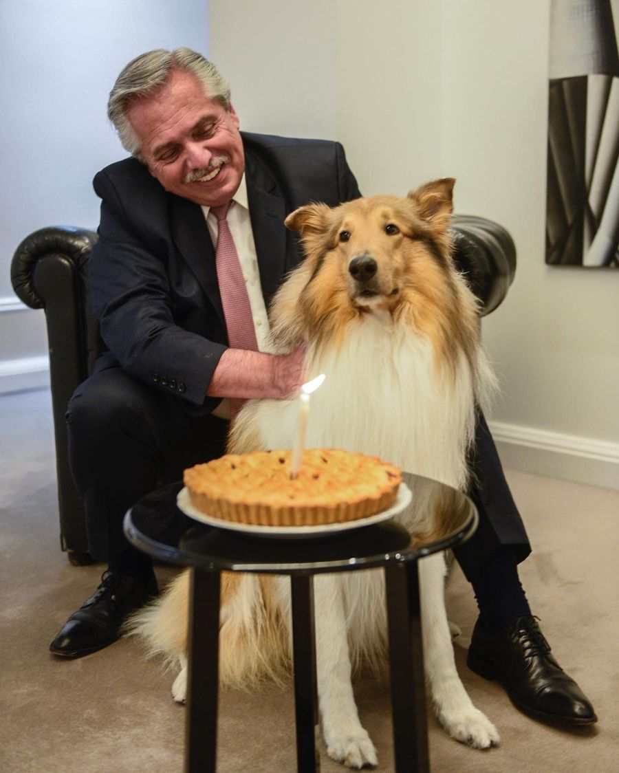 Dylan, perro de Alberto Fernández