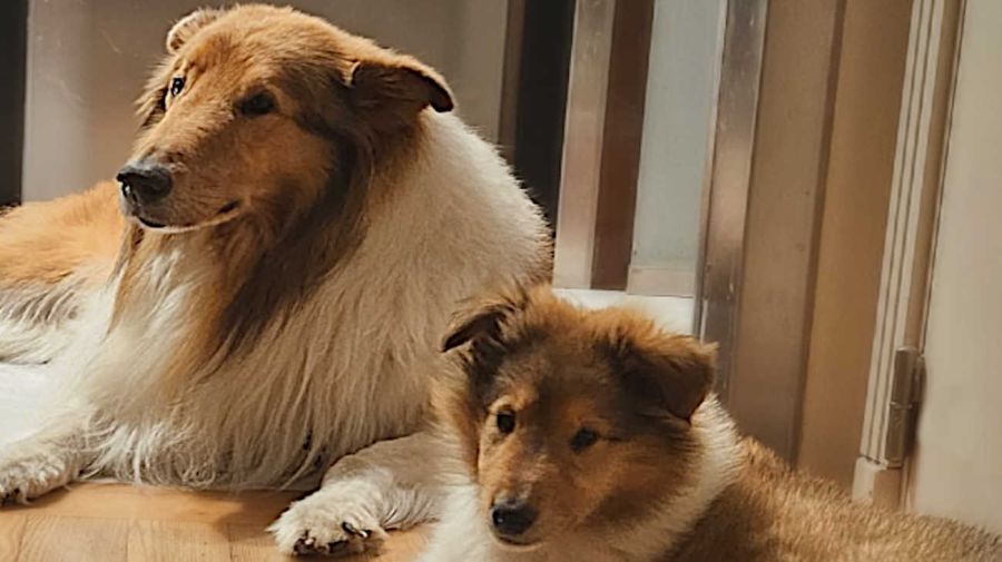 Dylan and children 20251112