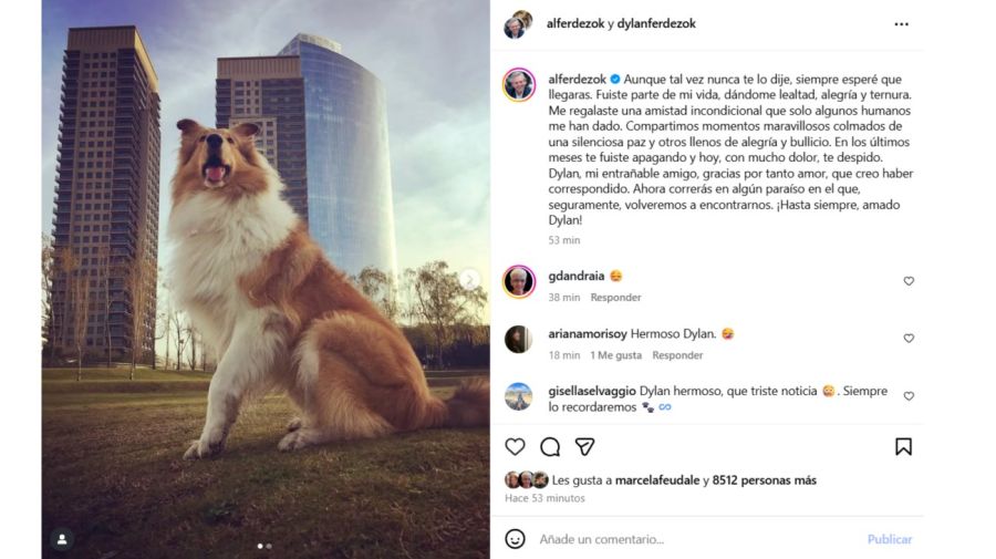 Murió Dylan, el perro de Alberto Fernández