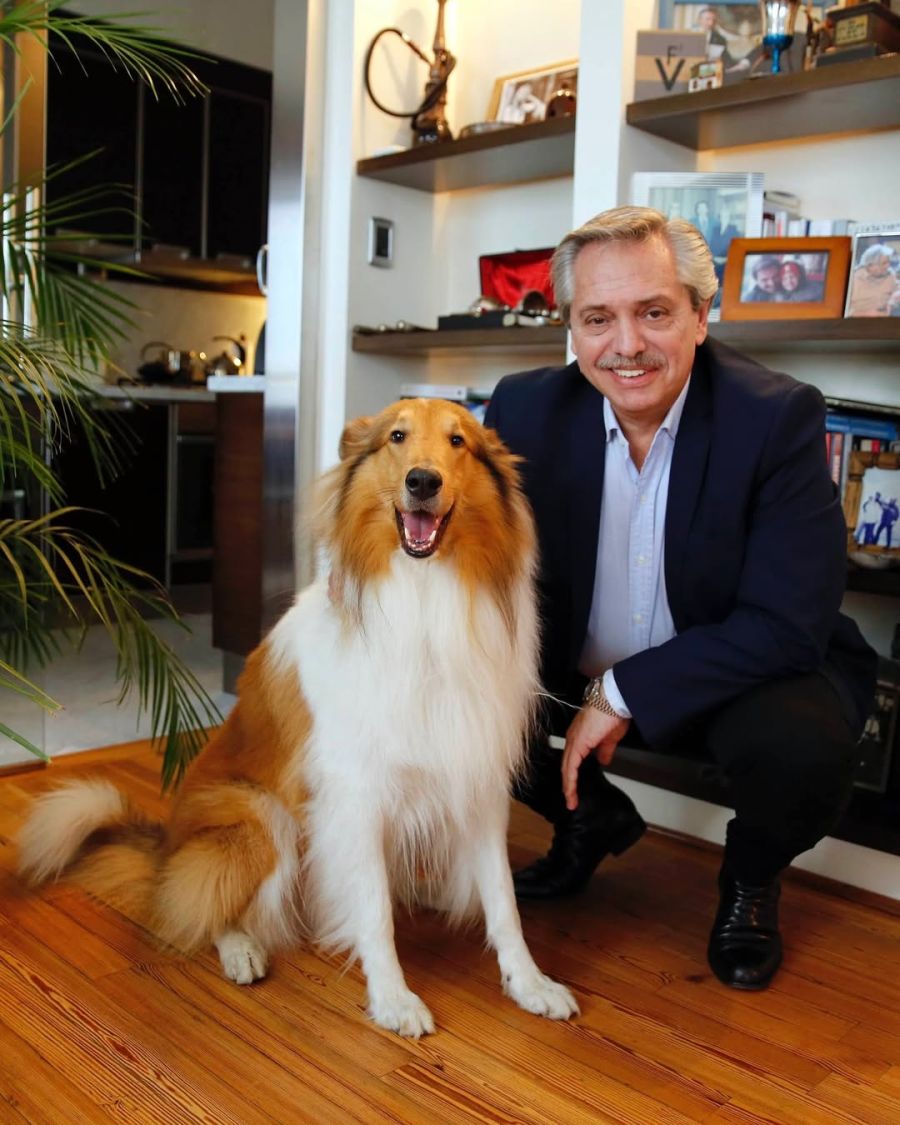 Murió Dylan, el perro de Alberto Fernández