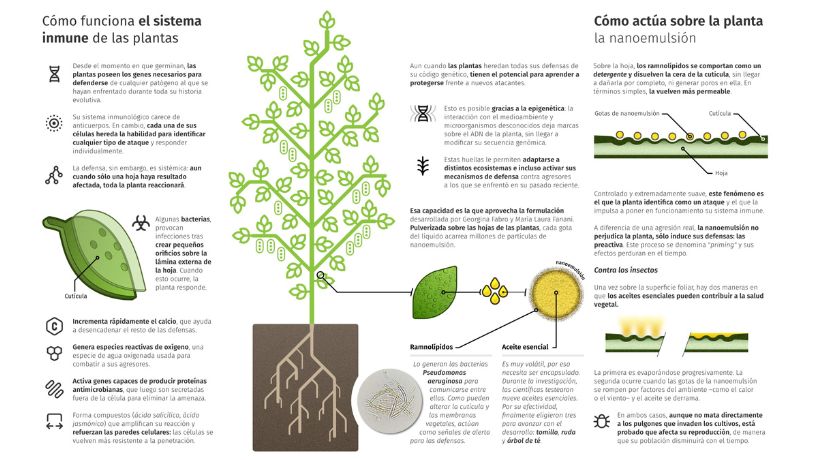 Vacunas para plantas