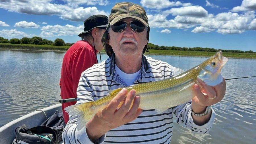 1411_mapa_pique_pesca