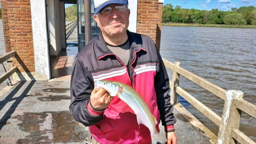 1411_mapa_pique_pesca