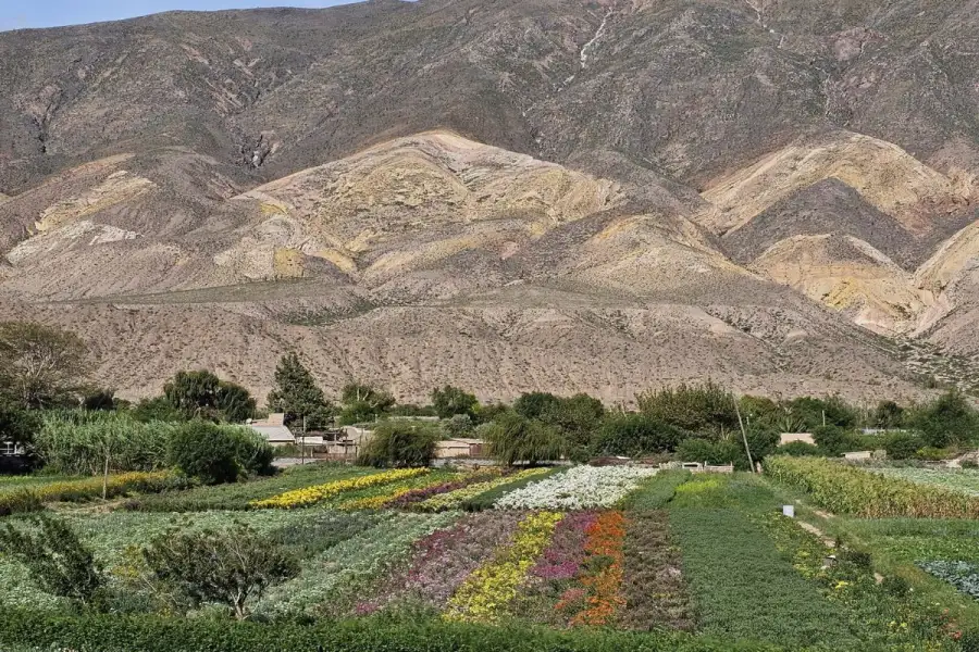 Quebrada de Humahuaca