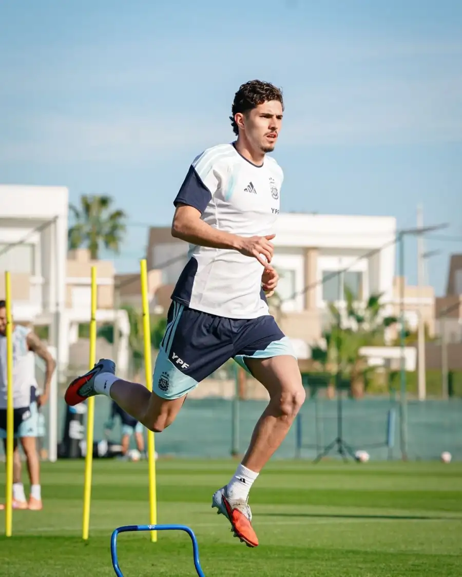 panichelli selection