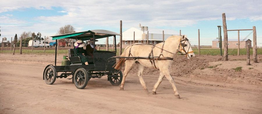 1116_coloniamenonita