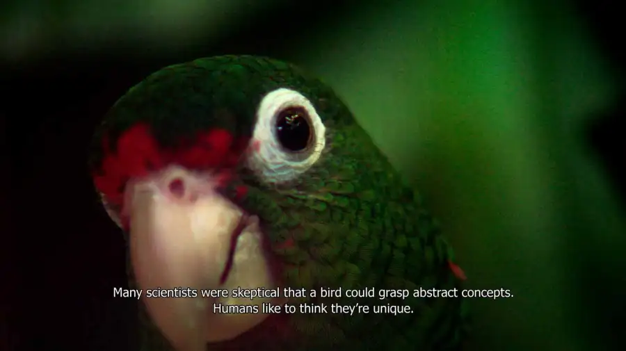 Bienalsur en Roma y Milán 16112025