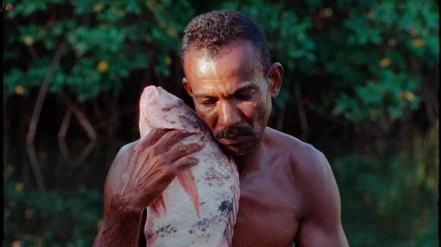 Bienalsur en Roma y Milán 16112025