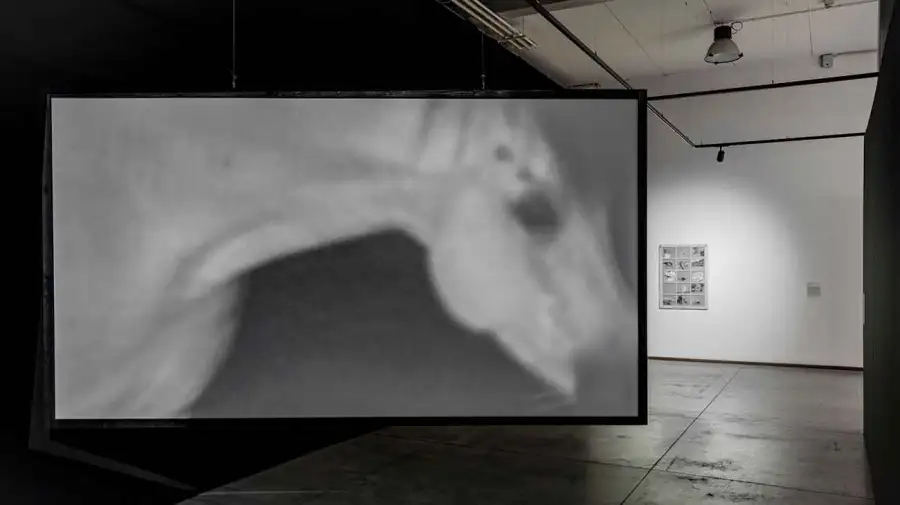 Bienalsur en Roma y Milán 16112025