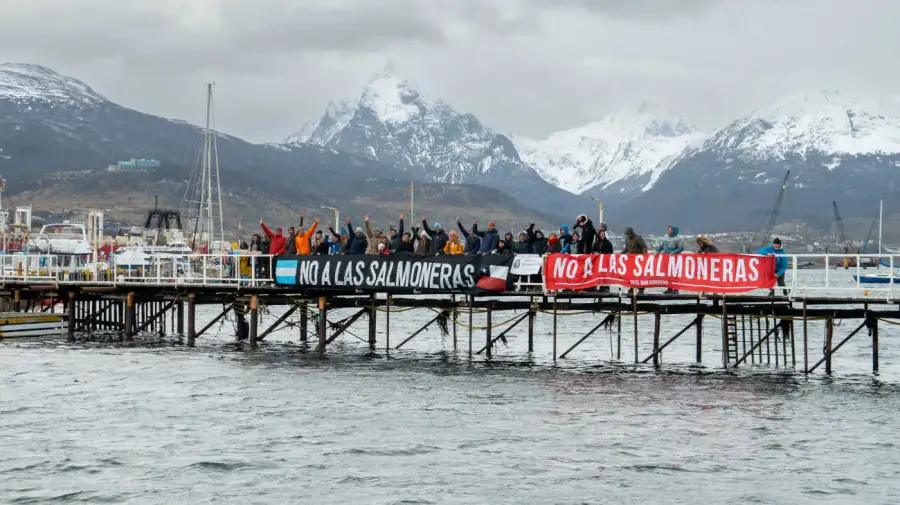 Manifestación contra las salmoneras 20251118