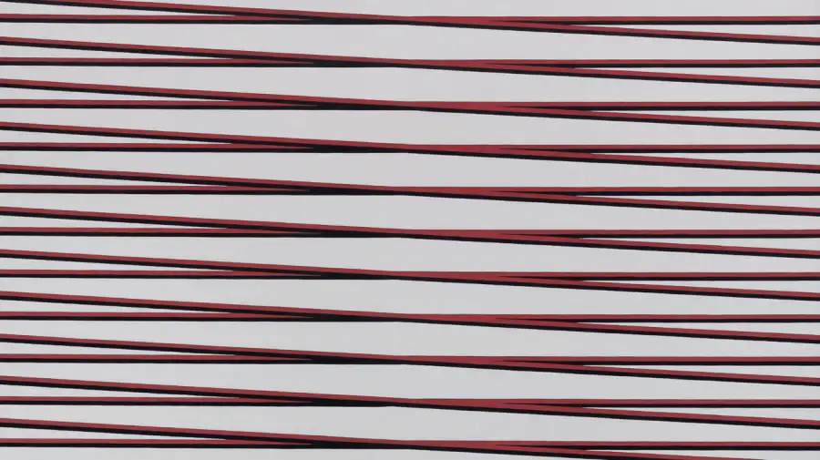 Subasta Anual de la Asociación SOMOS SÍVORI 18112025