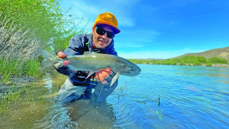 1119_contenidodiciembre