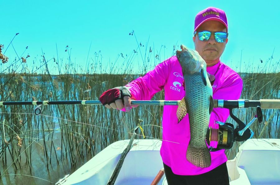 1119_contenidodiciembre