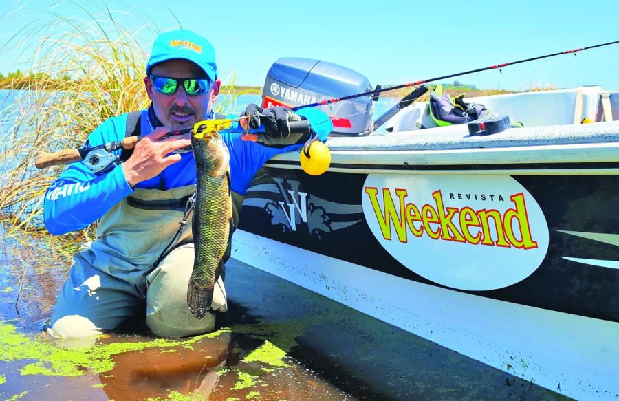 1119_contenidodiciembre