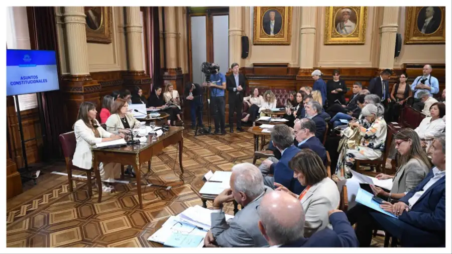 comision senado villaverde 19112025