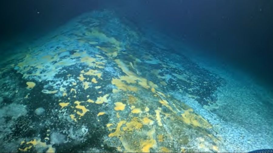 La expedición del Falkor (Too) iniciará su tercera y última campaña en el Mar Argentino