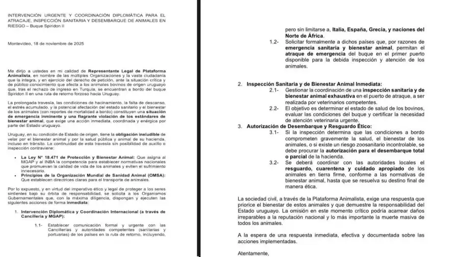 Spiridon II comunicado 20251119