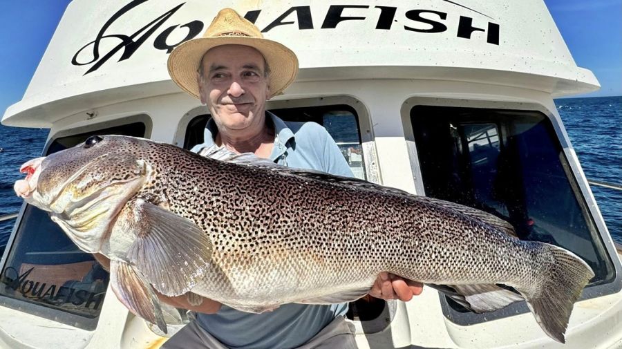 2011_mapa_pique_pesca