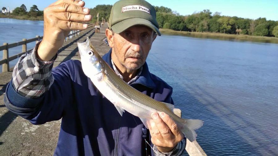 2011_mapa_pique_pesca