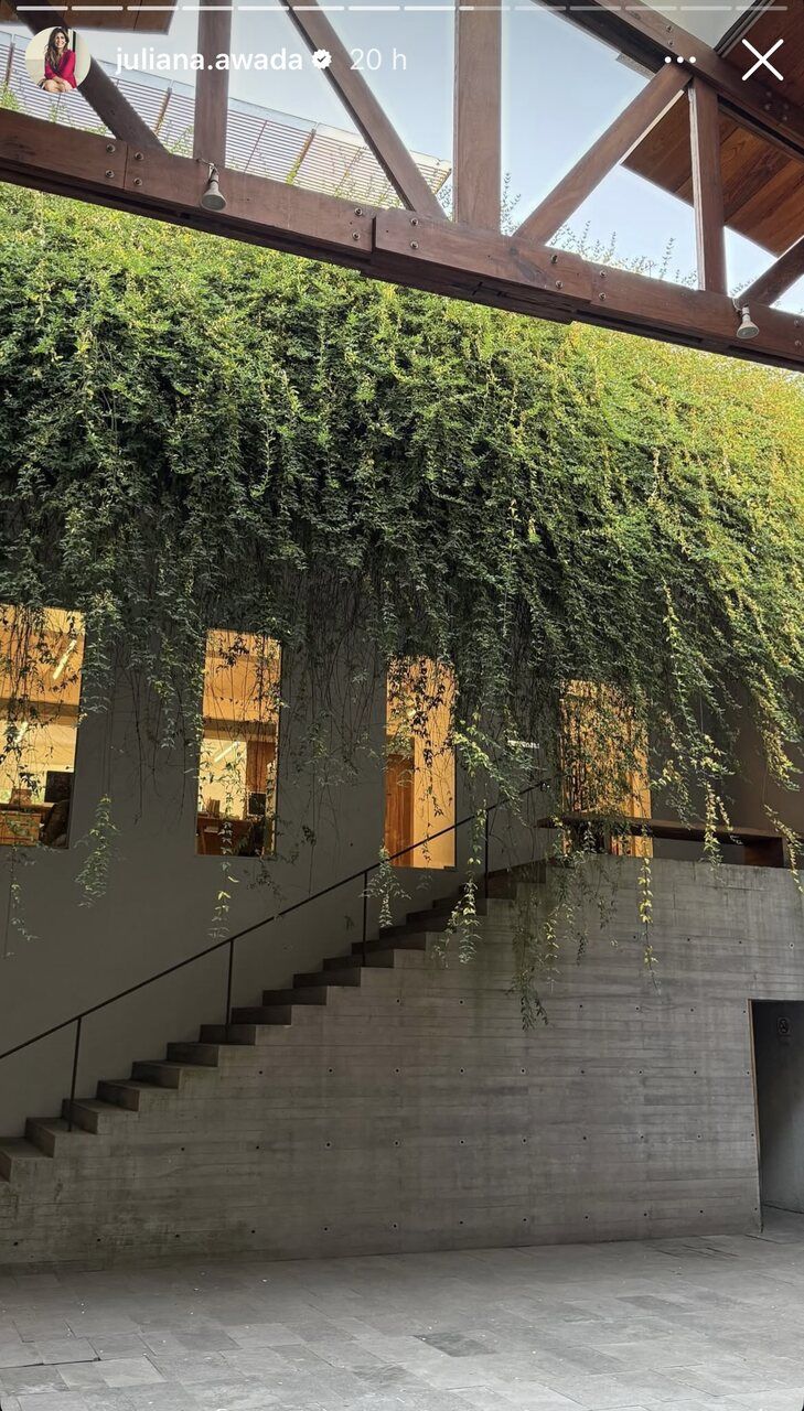 Juliana Awada México