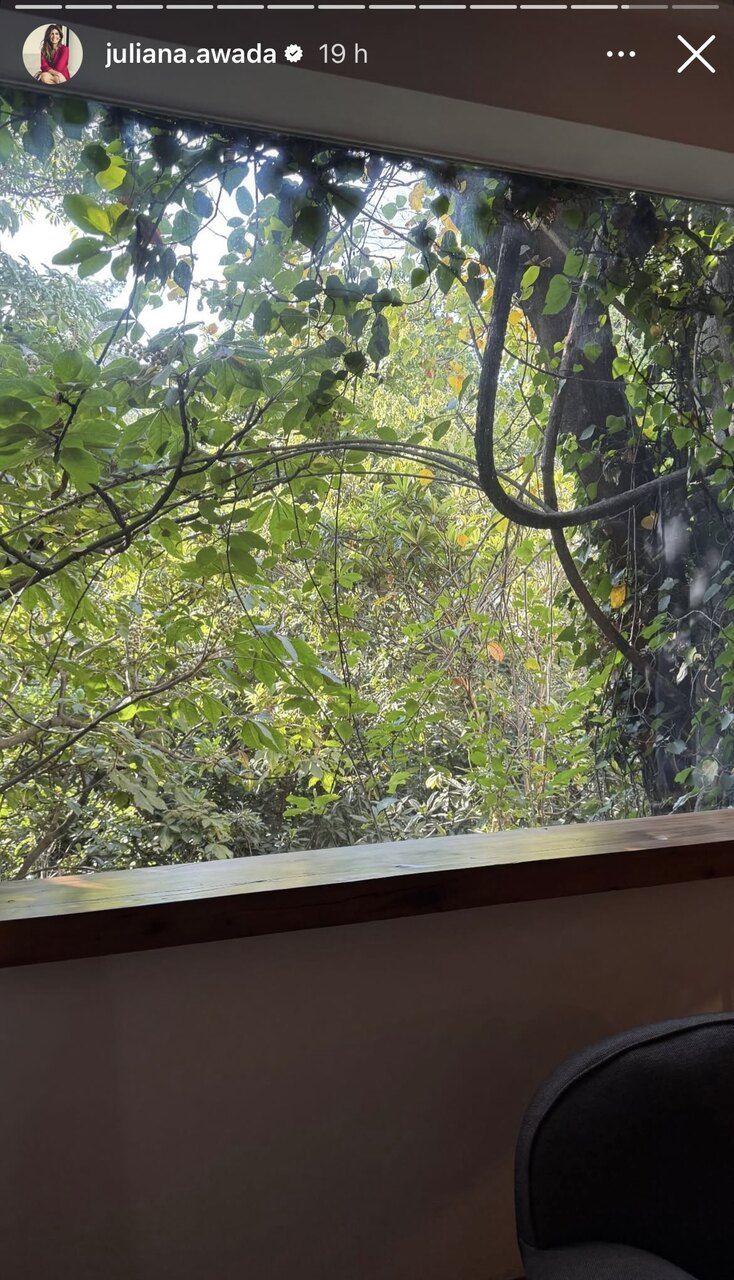 Juliana Awada México