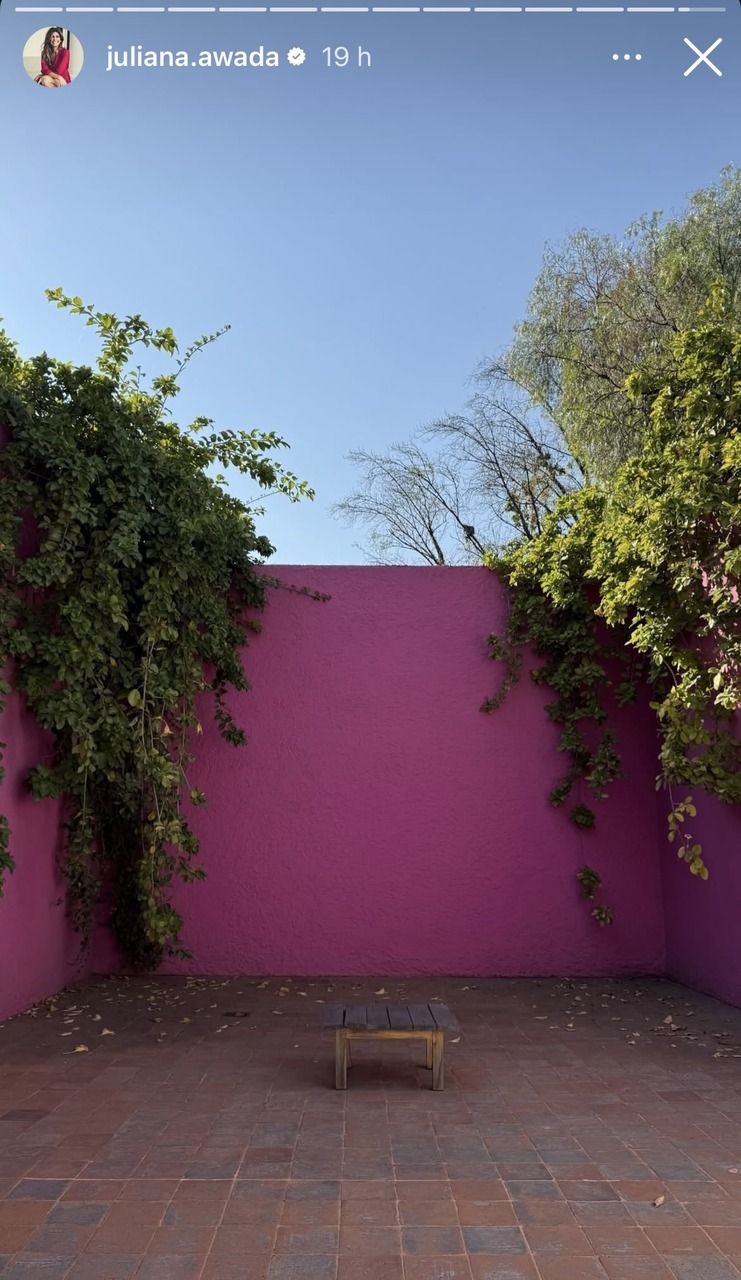 Juliana Awada México