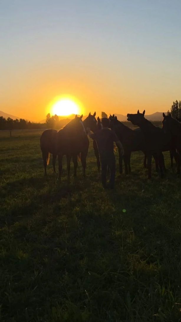 Casa de Benjamín Vicuña en Chile