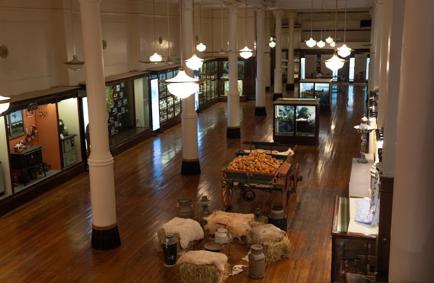 Bachelor of Gastronomic Capital