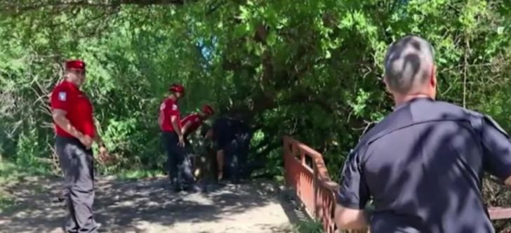 The crime of Camilla Merlo. Barren land