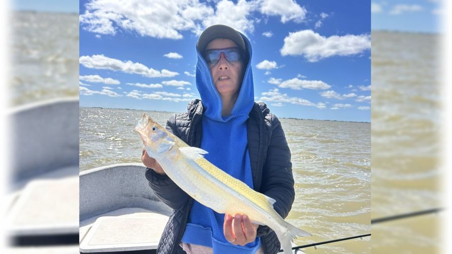 2811_mapa_pique_pesca