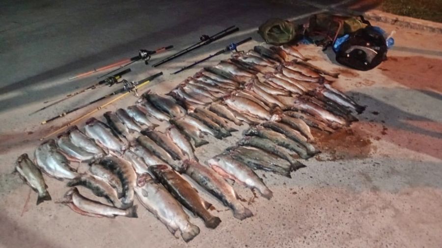 0112_truchas_furtivos