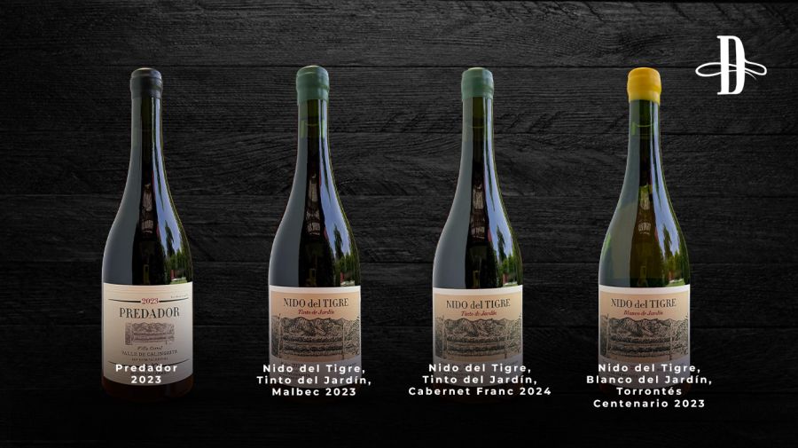 Bodega del Carmen en Delirio