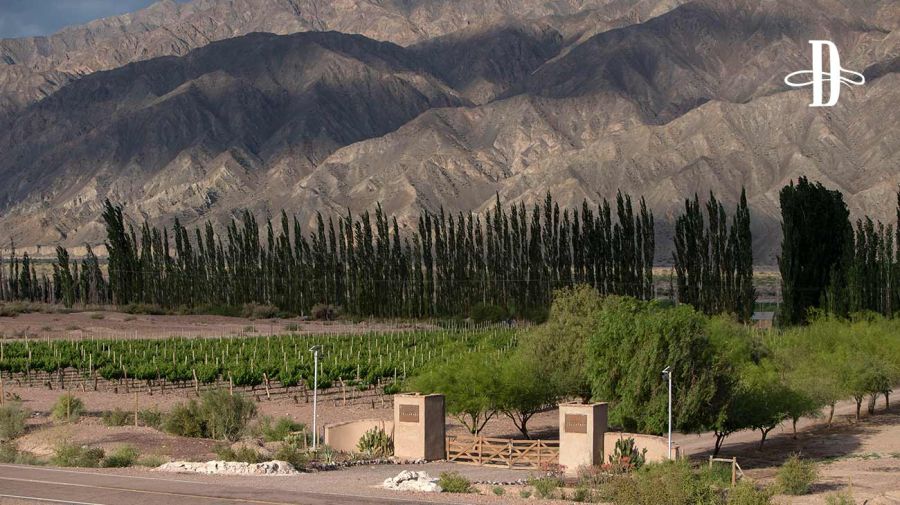 Bodega del Carmen en Delirio