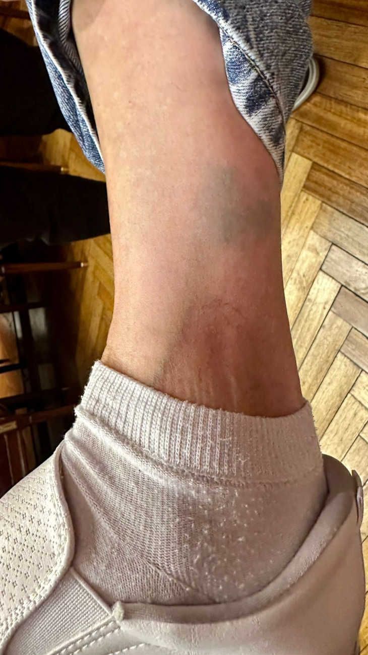 Cristina Lopez accused Senate Security of the attacks 20251201