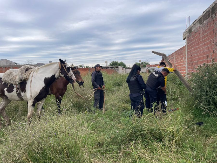 Municipalidad de Escobar 