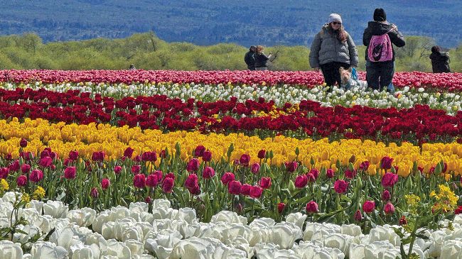 overlanding_primera_travesia_motorhomes_4x4_off_road_argentina_mainumby_4x4