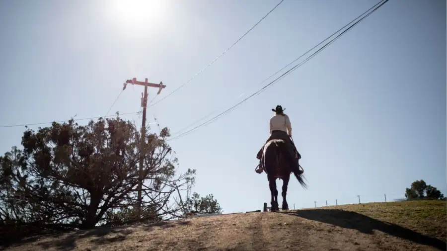 Argentine Gaucho Day