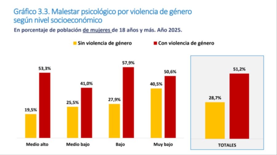 Argentine Social Debt Observatory, 2025 Report