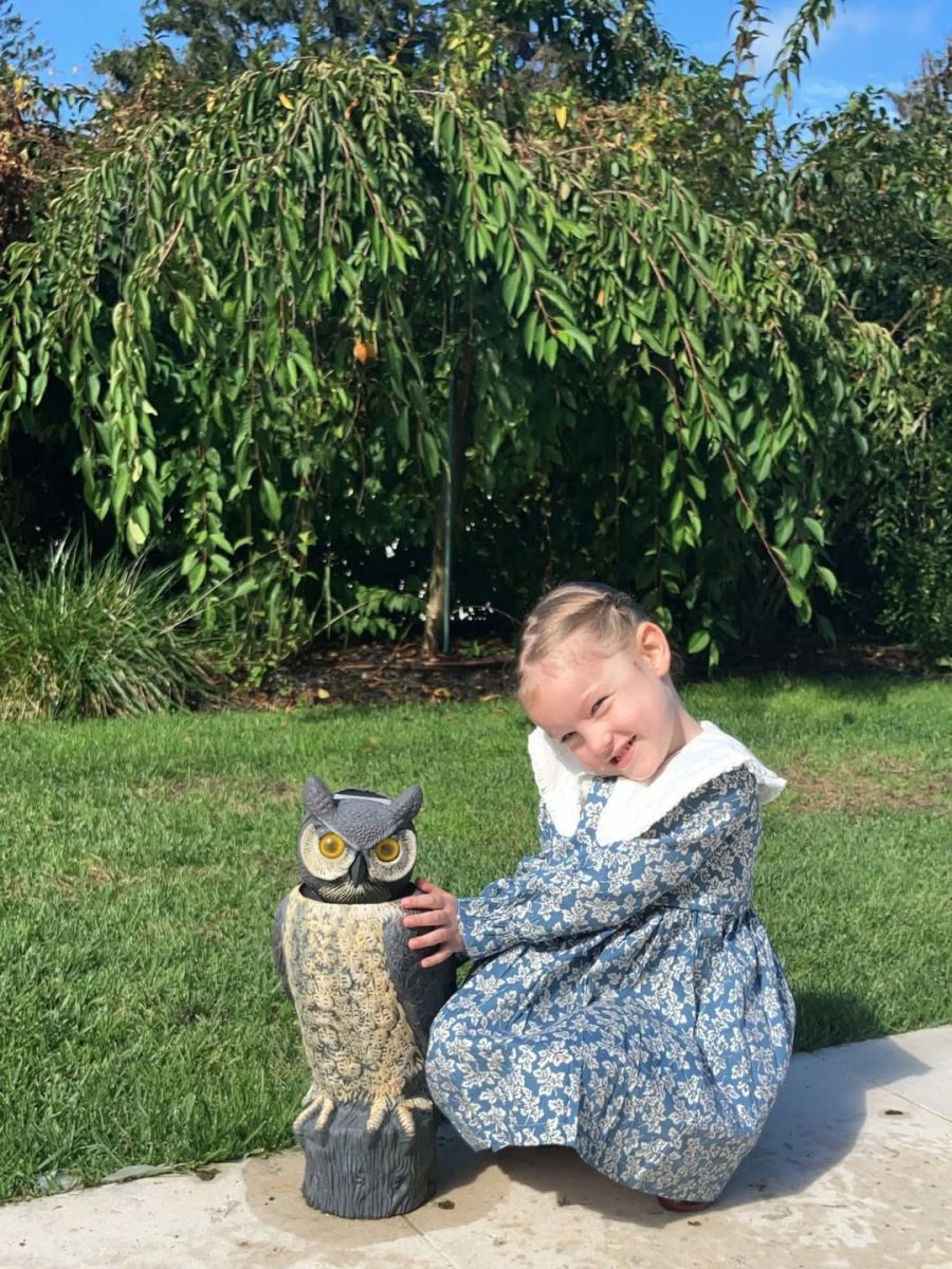 Anita García Moritán